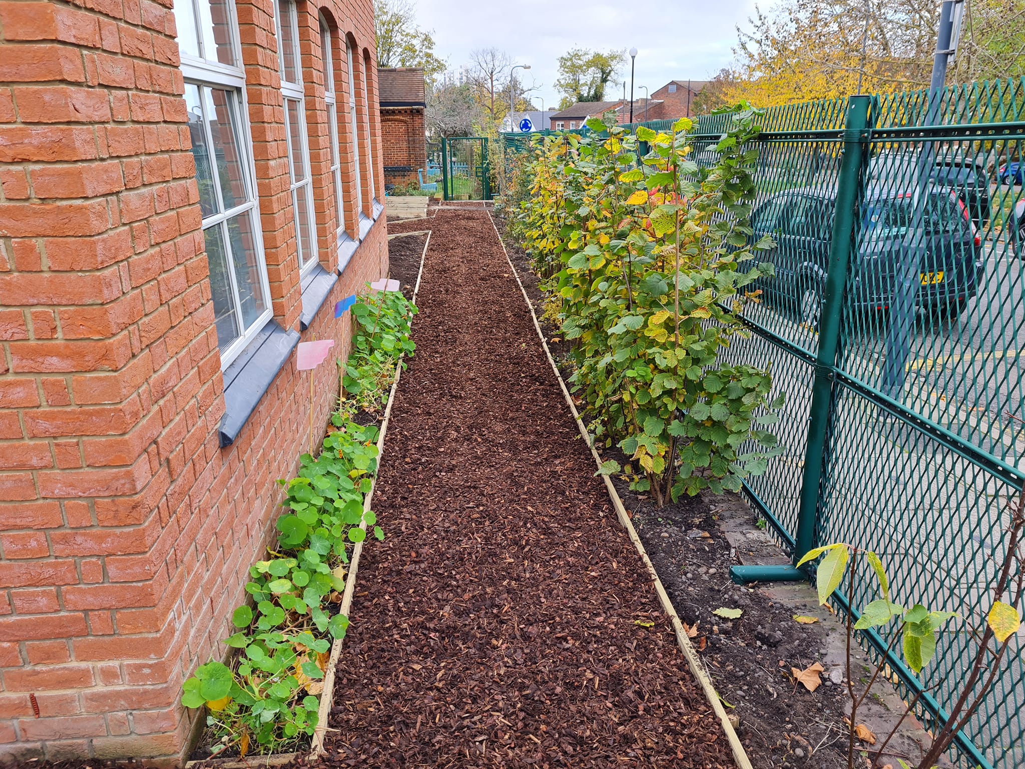 Bark mulch path with planting at a school