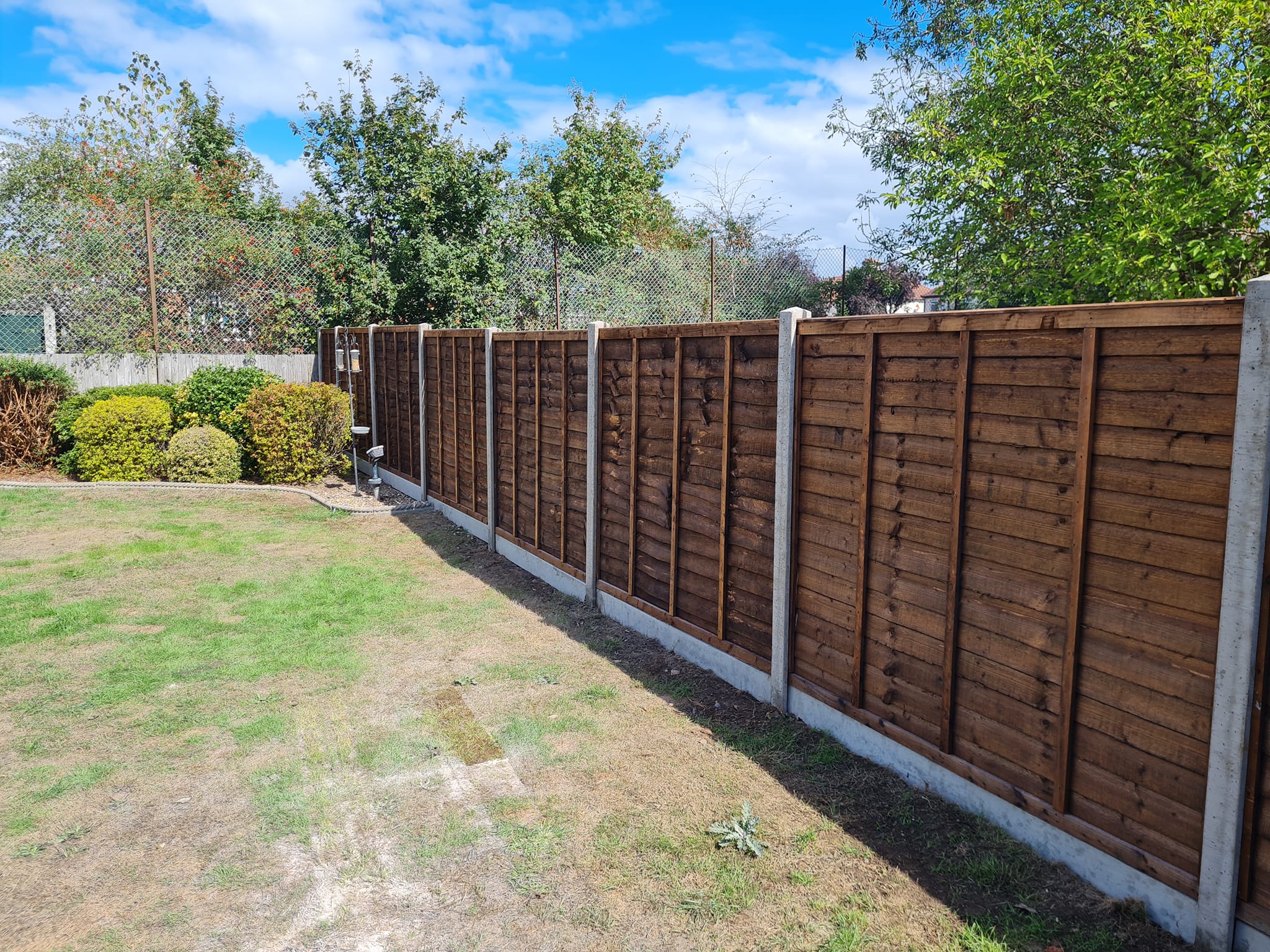 Panel fencing with concrete posts in back garden